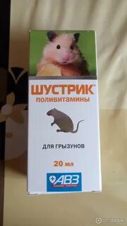 Шустрик