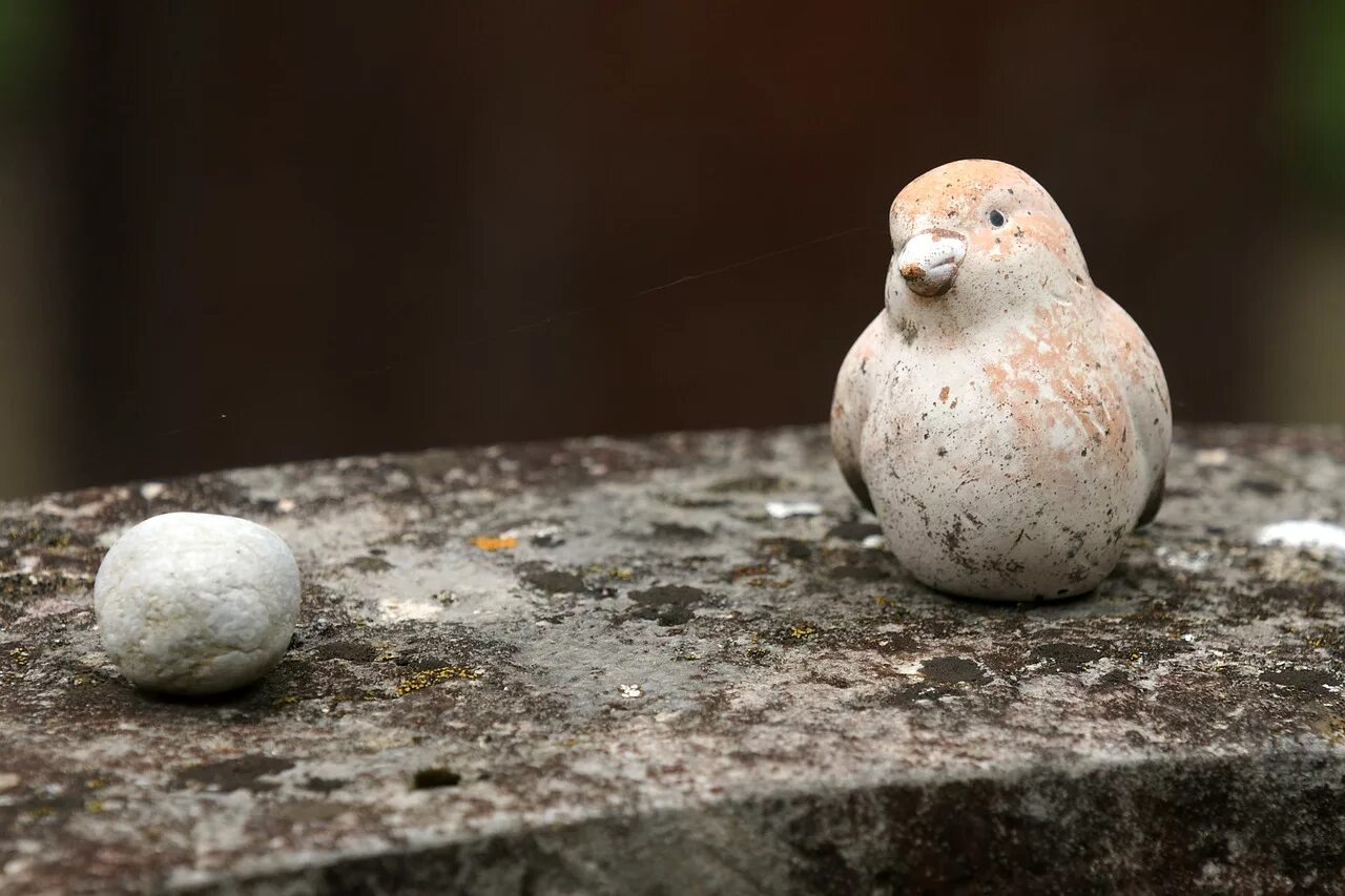 Stone birds. Птицы из камня. Каменная птица. Птица на Камне. Птички на камнях.