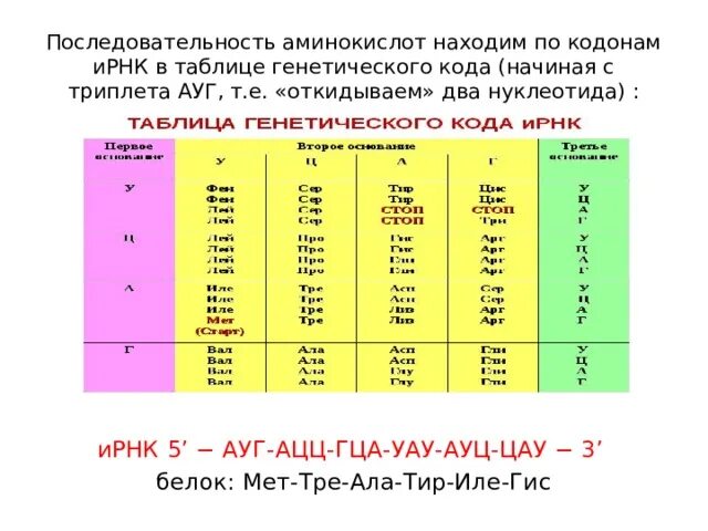 Из днк в ирнк таблица. Последовательность аминокислот. Аминокислотная последовательность. Таблица генетического кода ИРНК. Аоследовательностьаминксилот.