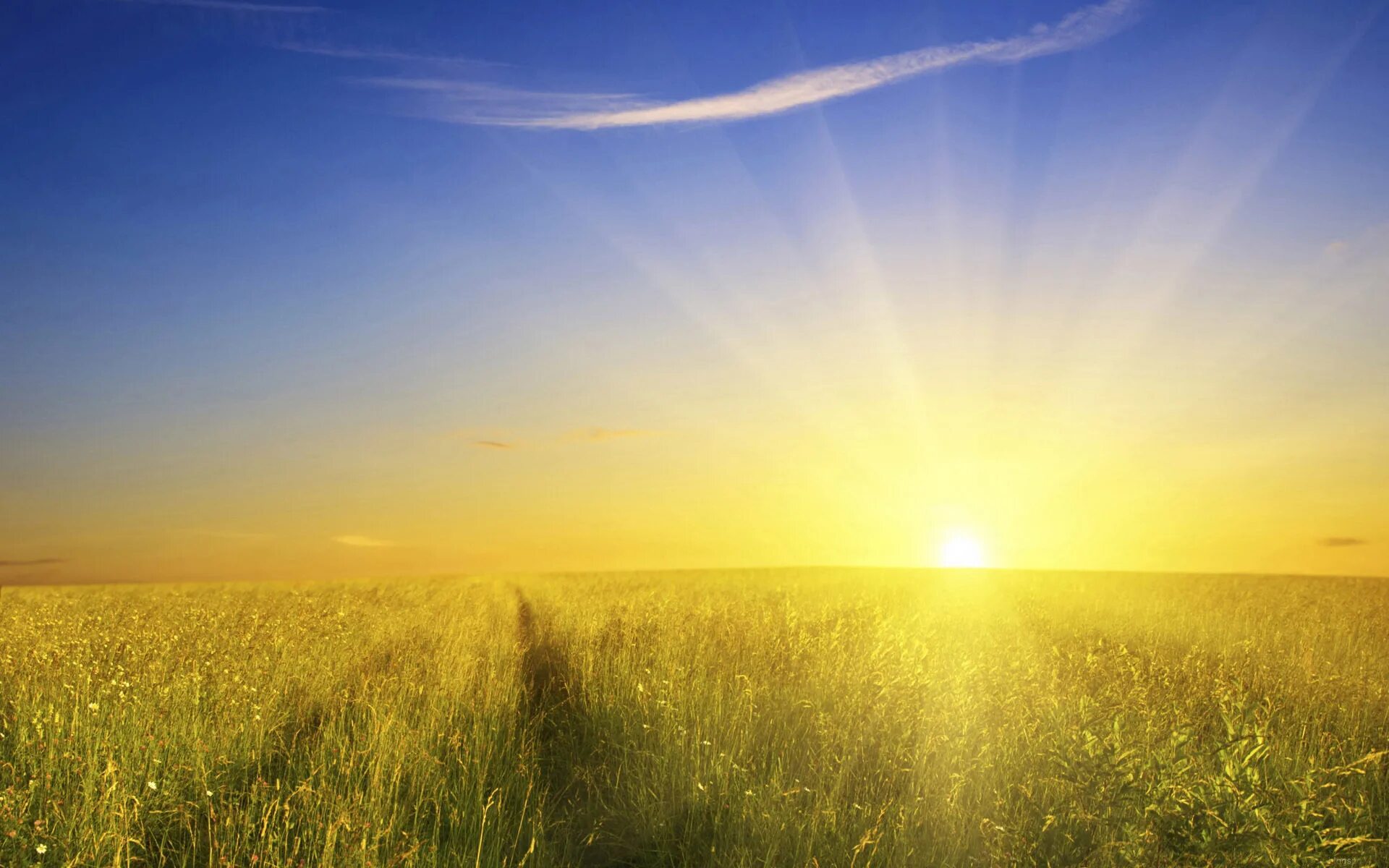 Рассвет солнца. Встать над полем. Солнце встает. Осеннее поле. Россия начиналась не с меча эдуард асадов.