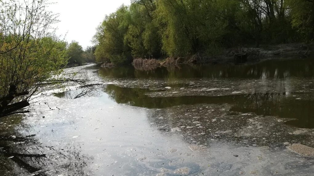 Уровень воды в тамбове сегодня. Река Цна Тамбовской области. Загрязненная река Тамбов. Загрязнение рек Тамбова. Грязная река Тамбов.