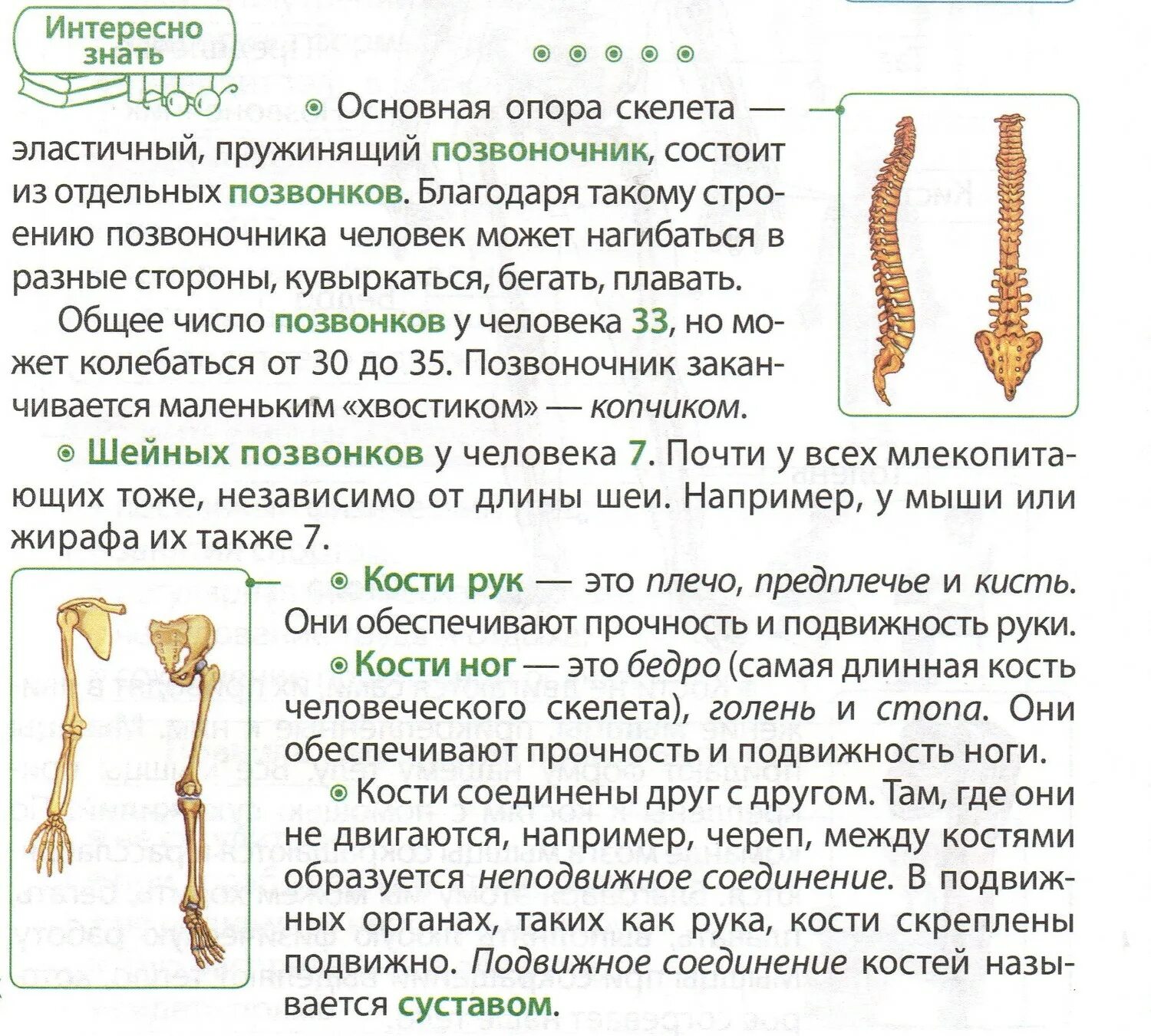 Системы органов человека опорно двигательная система функции. Опорно двигательная система строение костей. Строение суставного соединения. Чем определяется подвижность костей скелета. Таблица полуподвижные соединения костей.