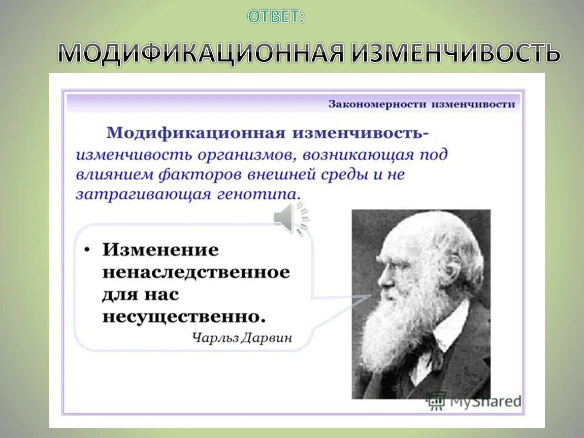 Закономерности наследственной изменчивости. Закономерности изменчивости организмов. Основные закономерности изменчивости. Модификационная изменчивость. Пример явления иллюстрирующего изменчивость