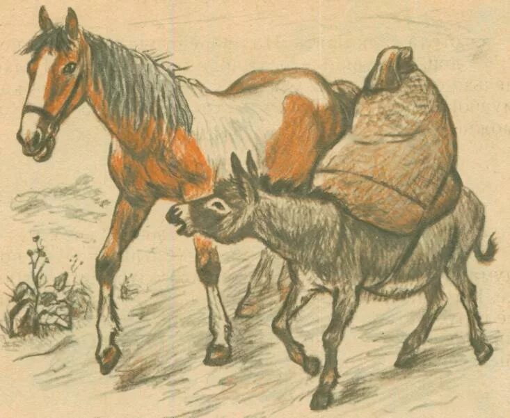 Лошадь и осел басня. Лошадь и осел ушинский. л н толстой осел и лошадь. осел и лошадь басня толстого. толстой лев николаевич осел и лошадь.