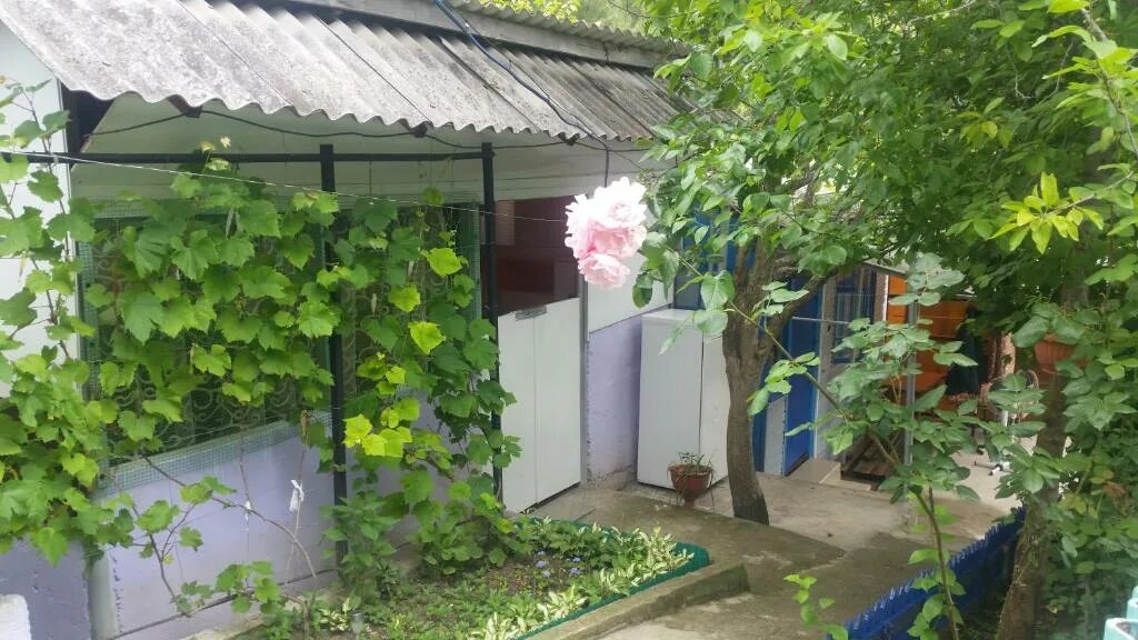 Вишневский ул заимка 8 село вишневка фото Сельский дом культуры Вишневка (Морозовский район) Фотопланета