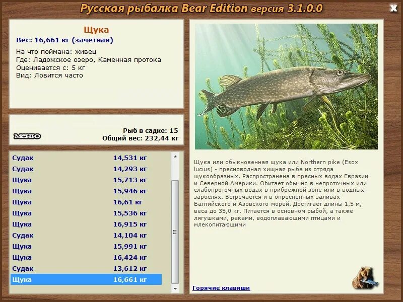Известно что обыкновенная щука пресноводная хищная. Клязьма русская рыбалка 3 Bear Edition. Русская рыбалка Bear Edition. Русская рыбалка 3 Bear Edition окунь. Щука обыкновенная вес.