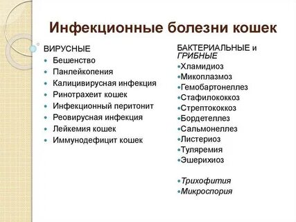 Самые распространенные инфекционные болезни