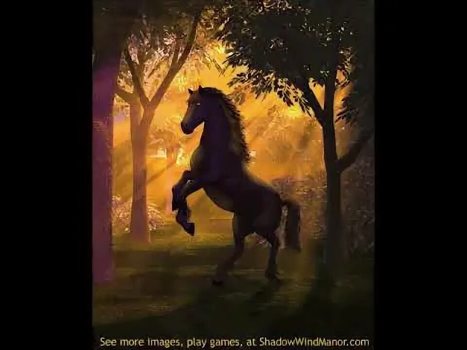 Белые кони кадышевой. Лошадь в окне. Джинджер лошадь черный красавчик. Кадышева черный конь. ЭПИЧНЫЙ чёрный конь ФРТ.