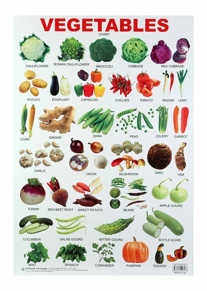 Овощи русско английский. Овощи на английском. Овощи на английском языке для детей. Vegetables in English. Карточки Vegetables.
