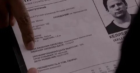 Перевожу иностранцев