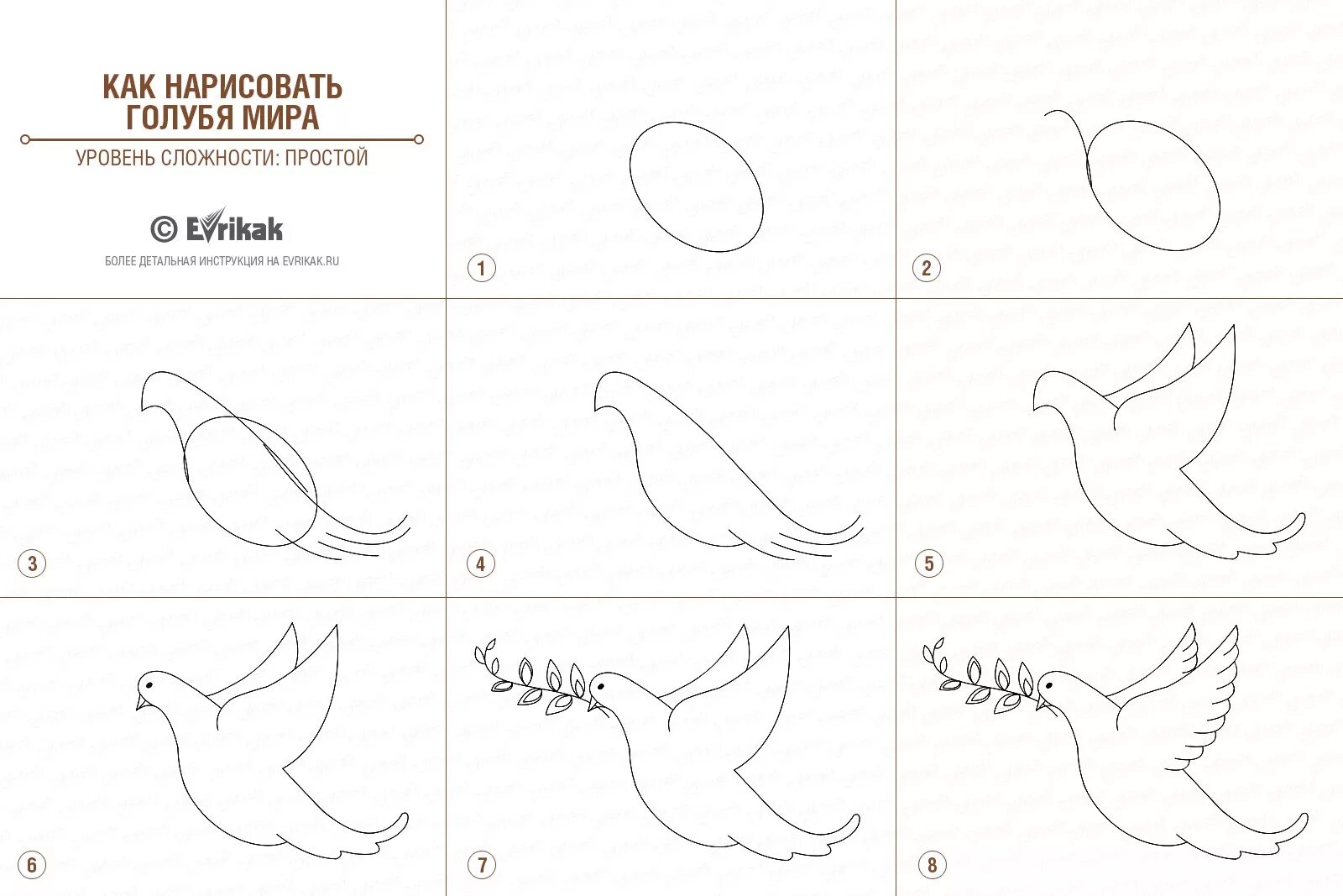 Рисунок на 9 поэтапно. Как нарисовать голубя. Как нарисовать голубя пошагово. Нарисовать голубя поэтапно для ребёнка. Этапы рисования голубя.