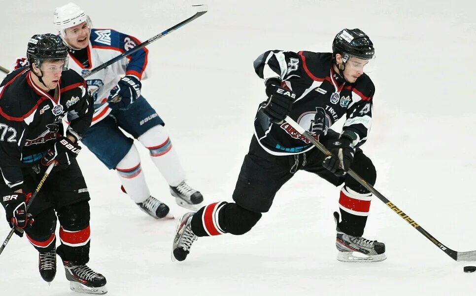 легион мхл. легион мхл. тюменский легион 2005 картинки красивые. логотип хк тюменский легион. легион мхл.