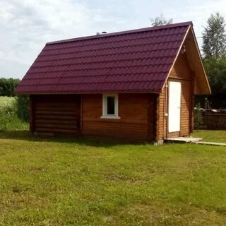 Золотой карп воронежская область