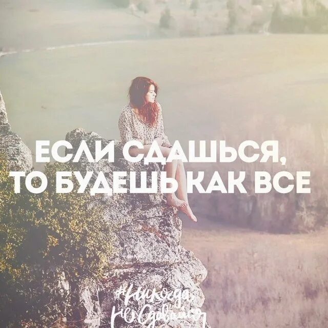 Никогда не сдавайся лев. Цитаты про сдаться. Никогда не сдавайся цитаты. Мотиватор не сдаваться. Не сдаваться надпись.