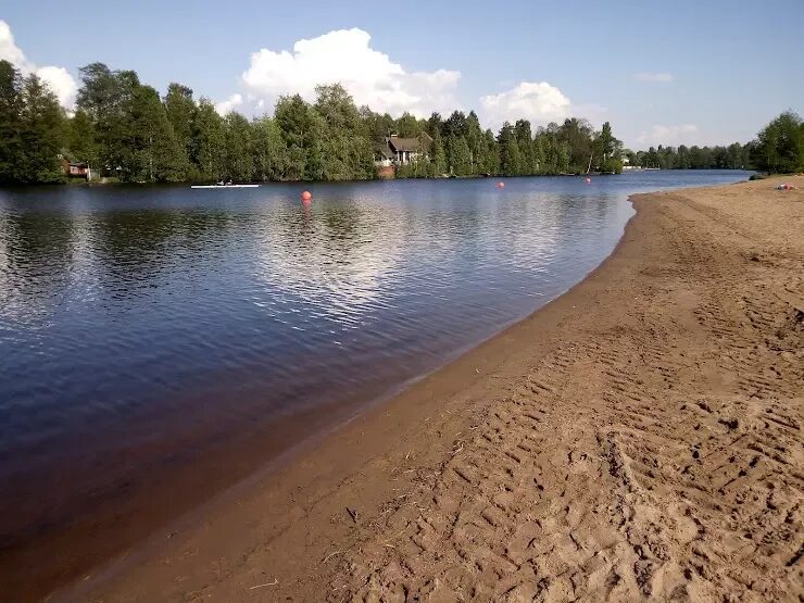 Офицерский пляж. Северный пляж сестрорецк. Офицерский пляж в сестрорецке. Сестрорецкий пляж, сестрорецк. Офицерский пляж.
