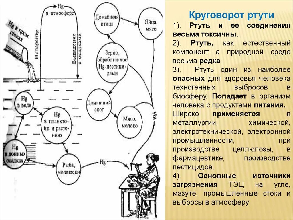 Ртуть схема. Схема миграции тяжелых металлов (ртути, свинца). Круговорот ртути в природе. Схема круговорота ртути. Биогеохимический цикл ртути.