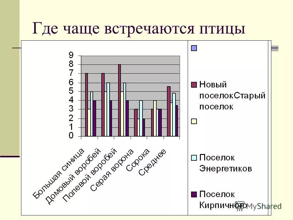 где чаще всего встречаются. где чаще всего встречаются. где чаще всего знакомятся люди статистика. наиболее частые возбудители исмп. происхождение фамилии казаков.