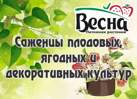 Питомник омский садовод интернет магазин саженцев
