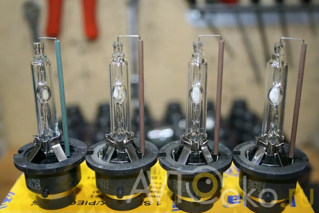 ксенон шоп шейнкмана 123. ксенон н3 4300к. ксеноншоп96. ксенон шоп 54 новосибирск. ксенон шоп 54 новосибирск.