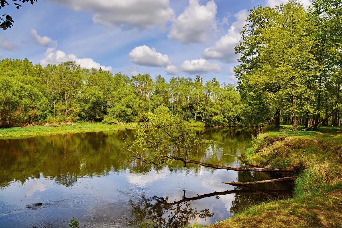 свислочь приток. свислочь приток. свислочь приток. свислочь приток. свислочь (приток березины).