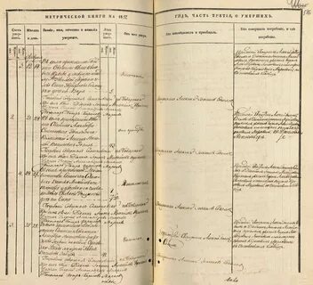 Метрические книги москвы