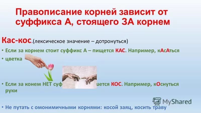 Слова с корнем кас кос примеры Карточки корень кас кос