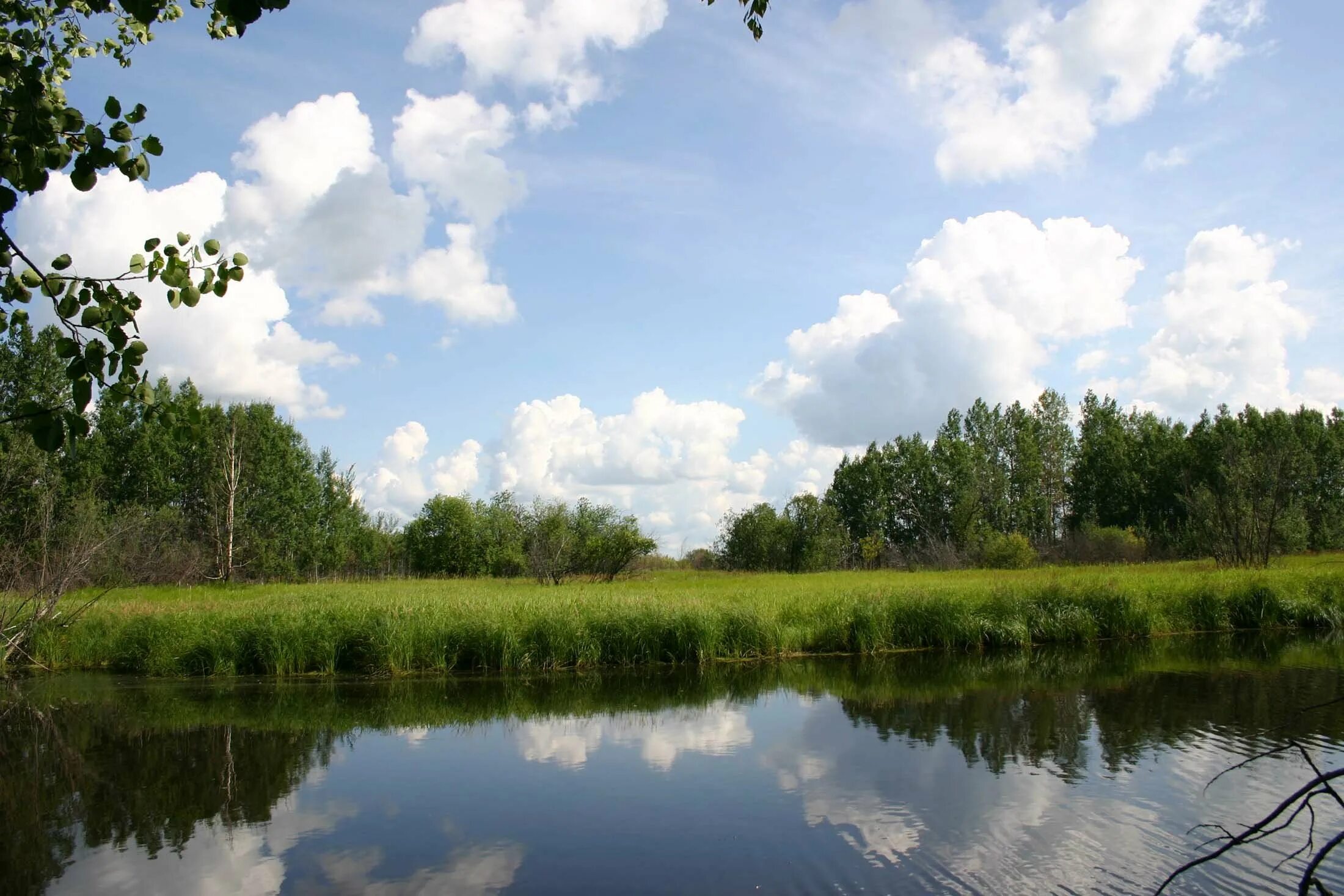 Вода родной край. Озеро Нерское Дмитровский район. Марков пруд Димитровград. Природа родного края. Красота родного края.