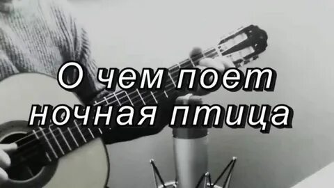 Ночная птица слова песни