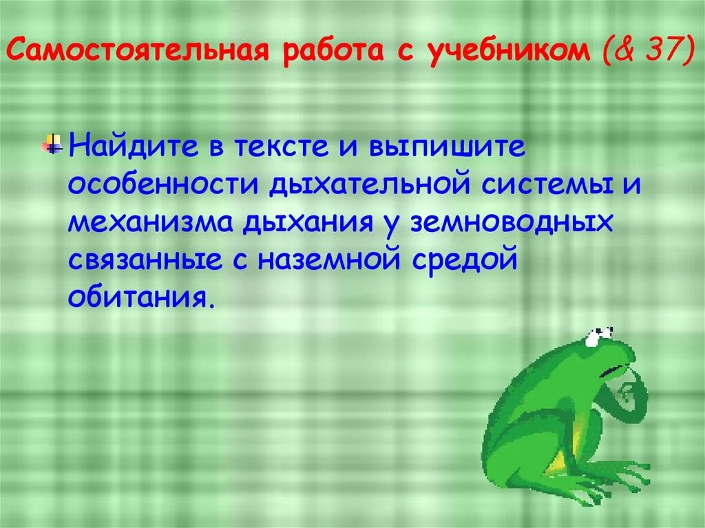 Дыхательная система земноводных. Органы дыхания земноводных. Строение дыхательной системы земноводных. Механизм дыхания земноводных. Функции дыхания у взрослых земноводных