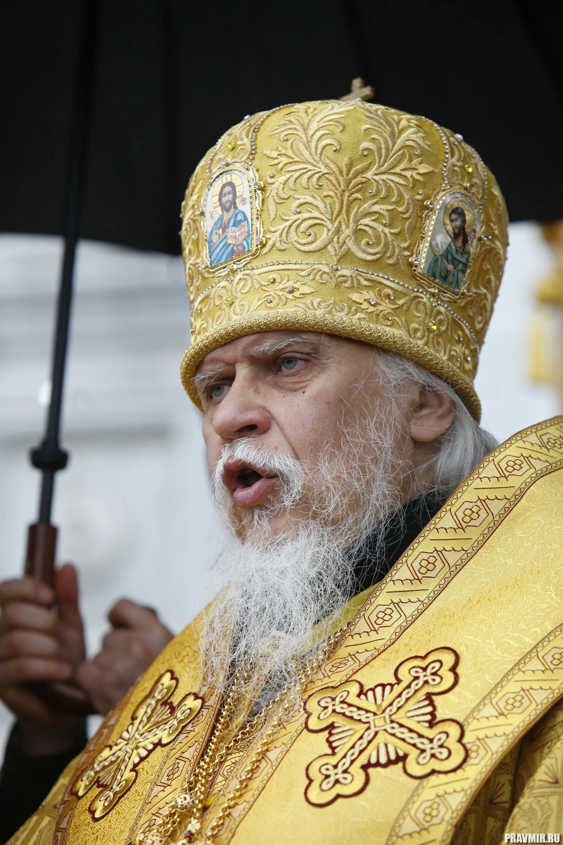 Епископ пантелеимон шатов. Епископ пантелеимон шатов. Епископ верейский пантелеимон шатов. Епископ пантелеймон. Пантелеймон шатов аркадий.
