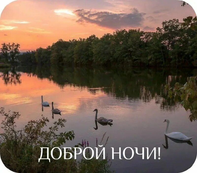 Добрым тихим словом. Доброе утро душевного тепла. Пожелания с добрым утром с природой. Тихий вечер стихи. Пожелания счастья и добра.