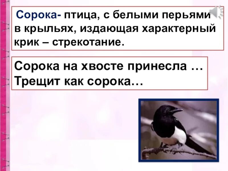 Трещит как сорока. Птичка на хвосте принесла. сорока на хвосте принесла. сорока трещит.
