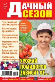 Дача 2023