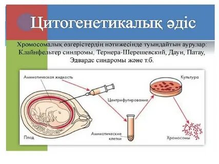 2010 жылғы секс-видео бітіру кеші