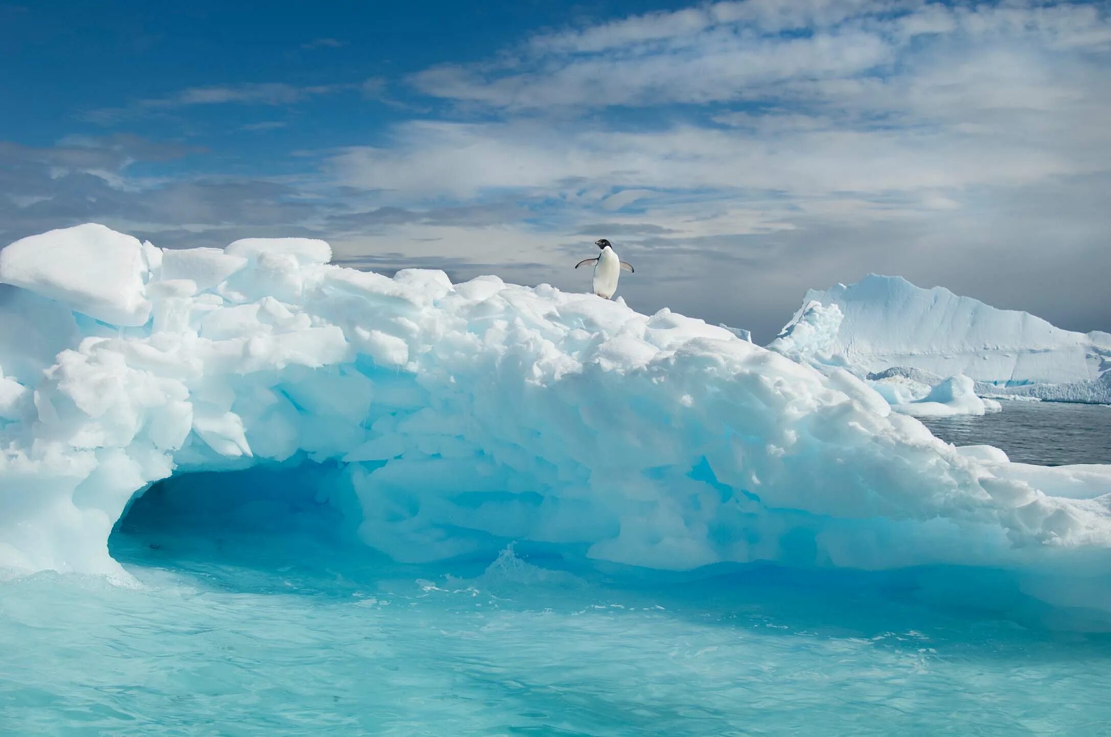 Arctic pole. Арктика Антарктика Антарктида. Антарктида и Аляска. Северный полюс Арктика и Антарктика. Арктика Антарктика Антарктида для детей.