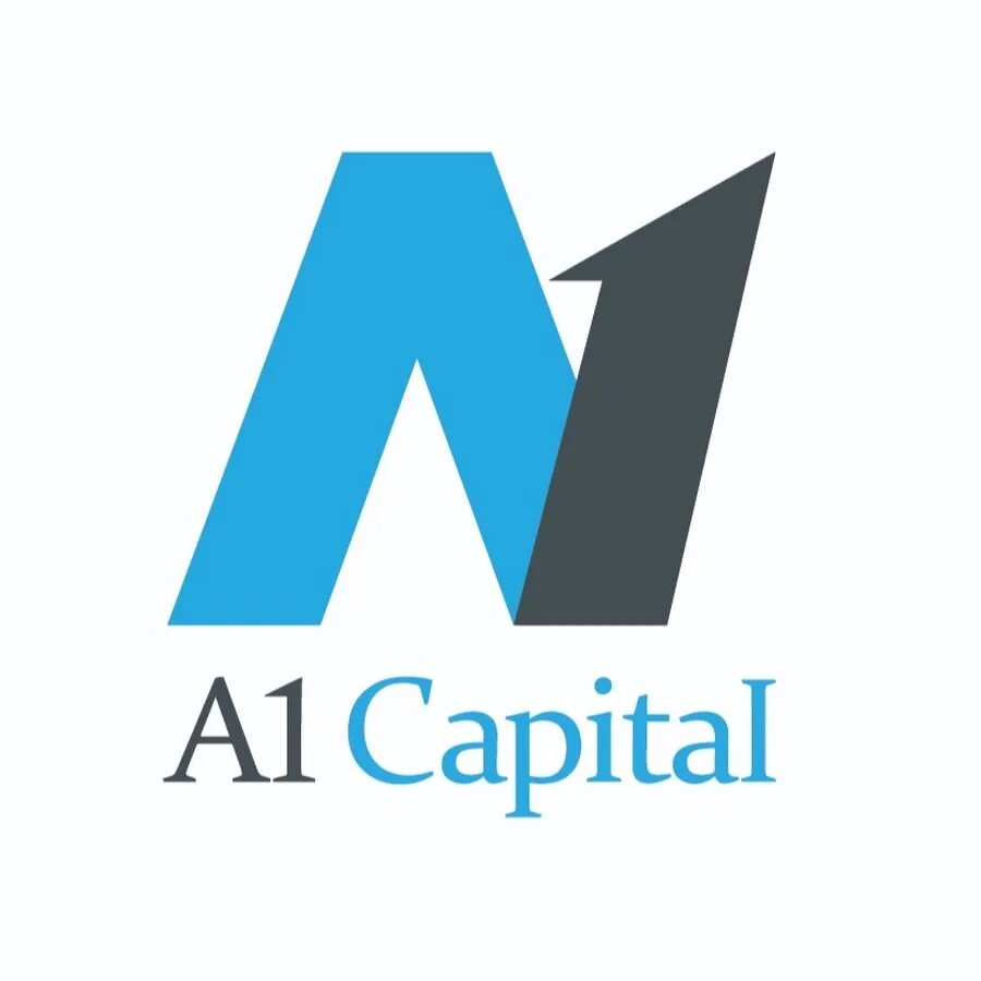 B 1 capital. A1 Capital. Капитал логотип. Кепитал брен. Логотип Capital study.