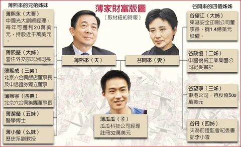 薄熙來親屬 財富版圖大公開 - 地方 