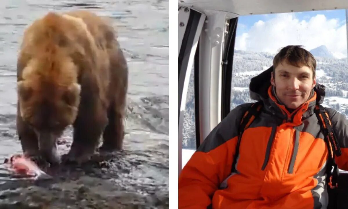 Нападения на туристов. Ергаки нападение медведя. Медведи в Карелии атакуют туристов. Нападение медведя на туристов.