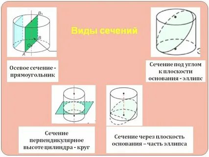 Сечение цилиндра плоскостью перпендикулярной основанию