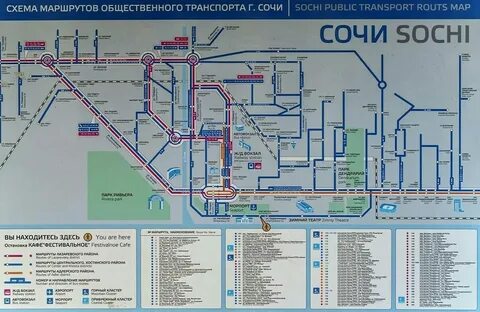 Автобусы до сириус парка
