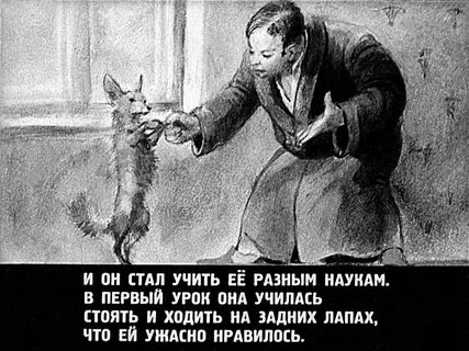 Каштанка умещалась в чемодане
