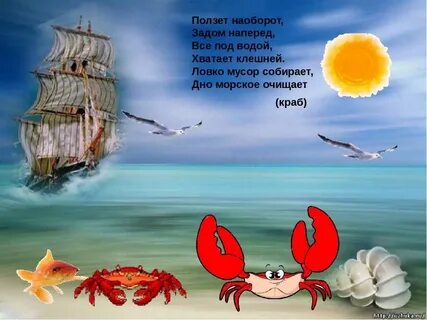 Море слов морской