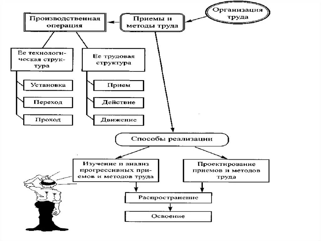 Организация труда и отдыха схема. Схема структуры трудовой операции. Таблица организация труда студентов. Организация труда и отдыха схема студента.
