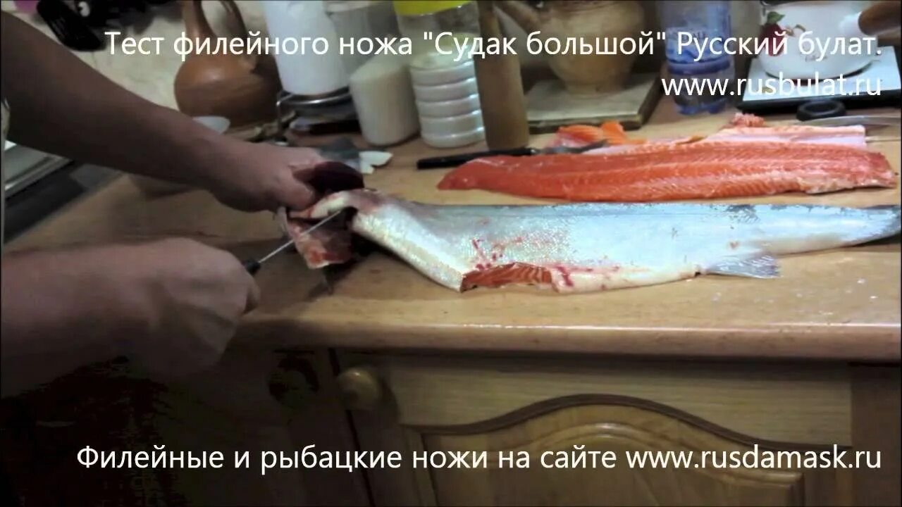 Как разрезать форель для засолки. Разделать форель для засолки. как разделать форель для засолки в домашних. нож форель русский булат. разделка форели для засолки в домашних.
