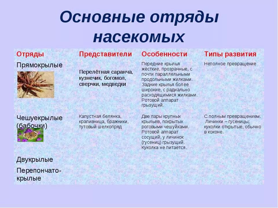 Отряд насекомых тип развития. Отряды насекомых таблица 7 класс по биологии. Типы развития насекомых отряды насекомых. Таблица многообразие насекомых отряд признаки отряда. Основные признаки класса насекомые таблица.