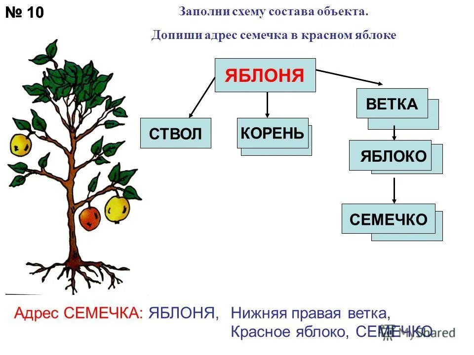 Схема происхождения какого либо продукта окружающий мир. Схема состава. схема состава дерева. схема состава информатика. схема состава любого объекта.