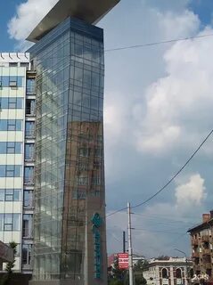 Бионика красноярск