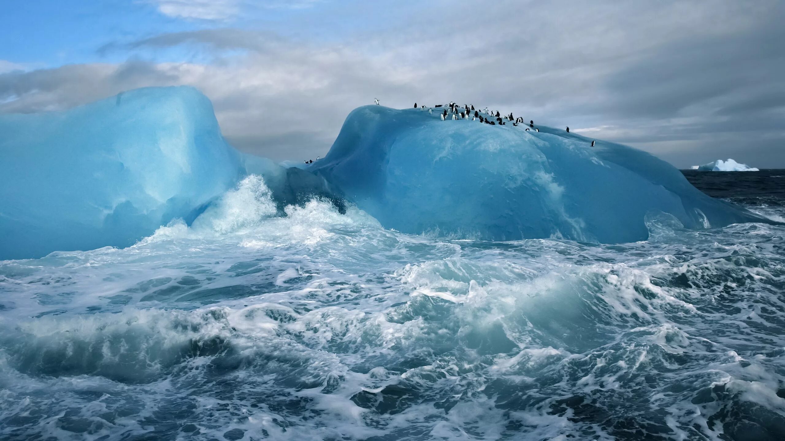 Северный Ледовитый океан и Антарктида. Айсберги Антарктиды. Ледовитый океан Антарктида. Арктика Северный Ледовитый океан. Океаны волны ветры