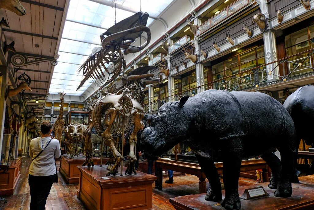 дублин национальная библиотека. национальный музей ирландии. национальный музей ирландии. национальный музей ирландии дублин. национальный музей ирландии.