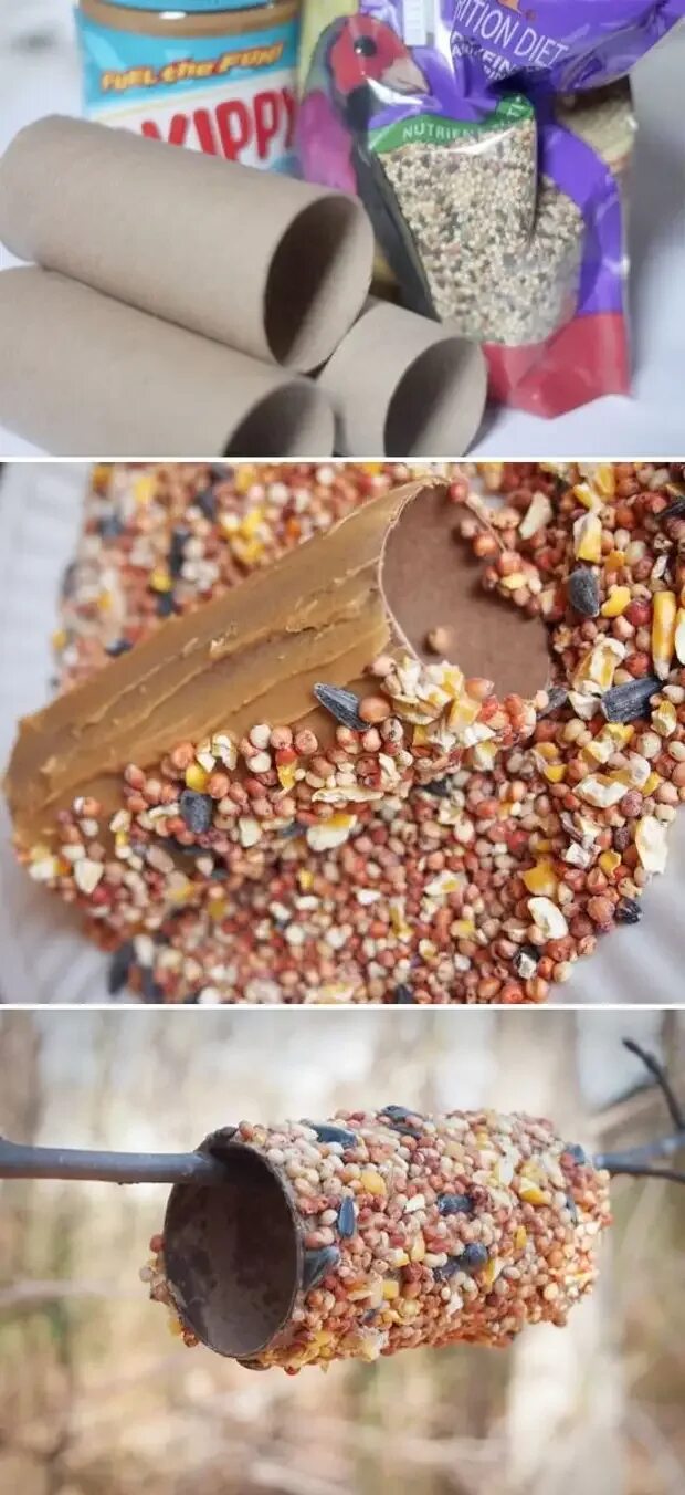 Кормушка из втулки. Эко кормушка. Съедобная кормушка. Креативная кормушка. Съедобная кормушка для птиц.